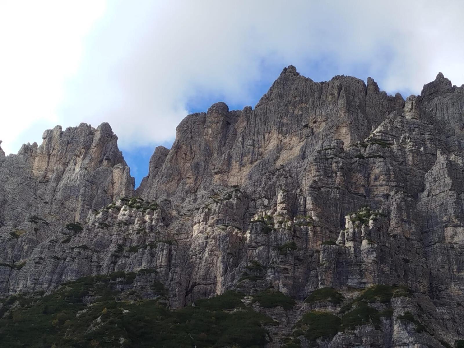 Appartamento A Sedico - Natura E Relax Exteriör bild